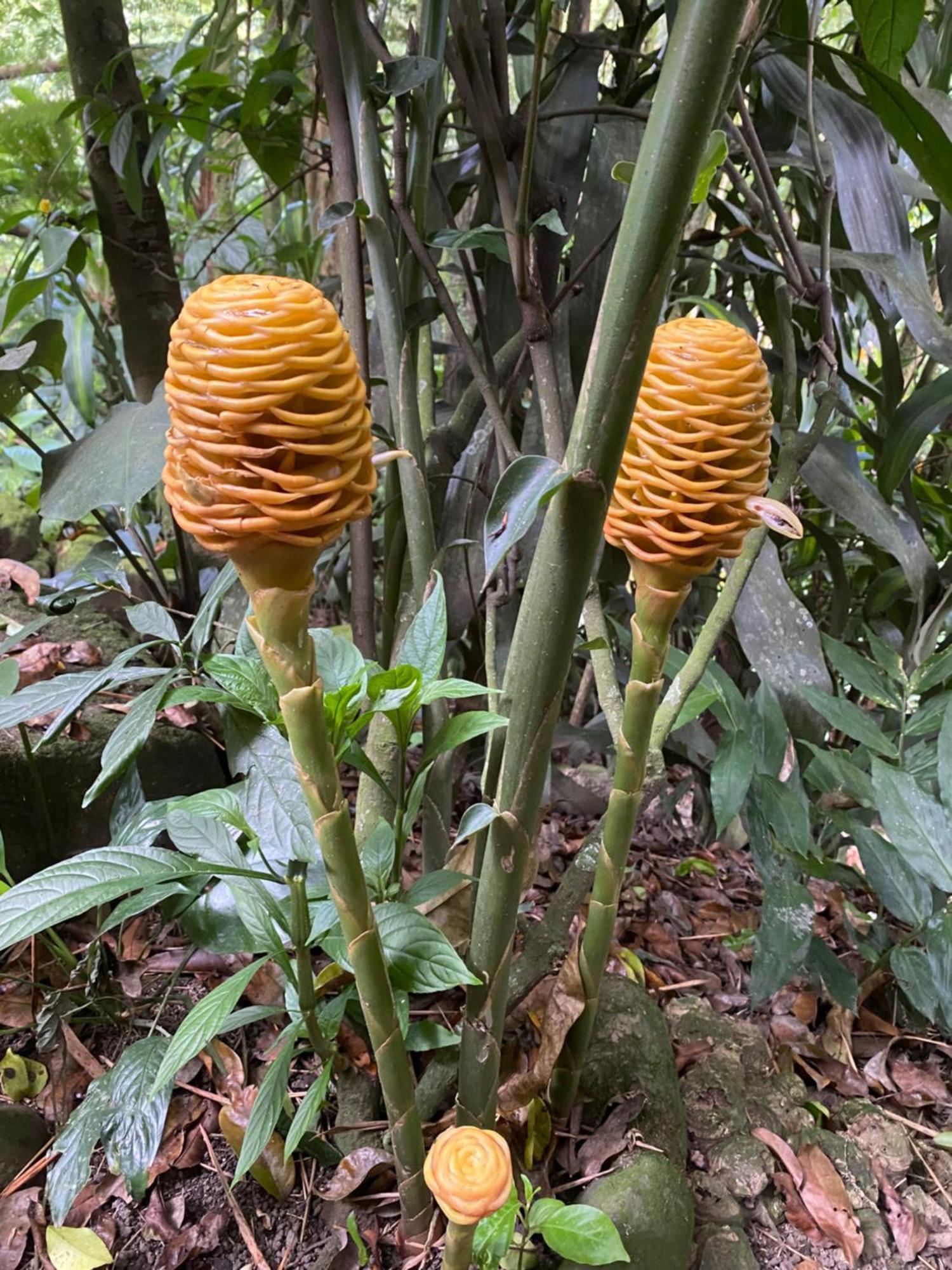 El Remanso La Vega Сasa de vacaciones La Vega (Cundinamarca)