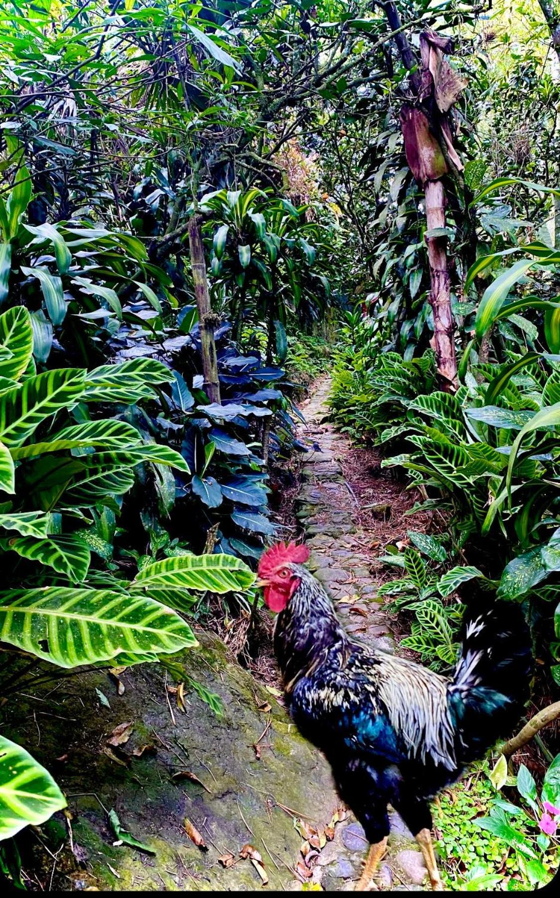 El Remanso La Vega * La Vega (Cundinamarca)